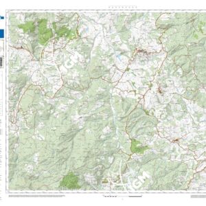 62 20 (Radicondoli) Anno: 2022