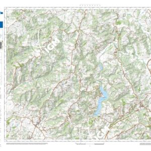 62 27 (Piccione) Anno: 2022