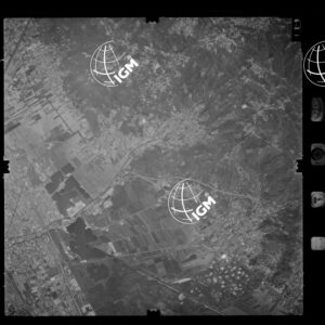 104-1986-4-631