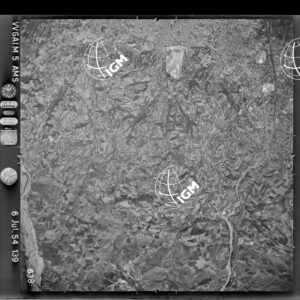 87-1954-31-638