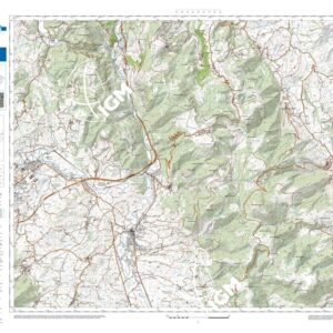 63 29 (Cerreto d'Esi) Anno: 2022