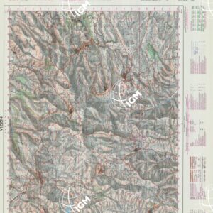 645 (VIZZINI) Anno: 1970