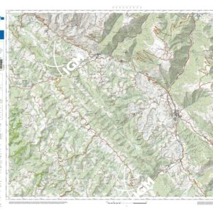 64 27 (Cantiano) Anno: 2022