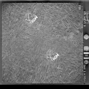 89-1954-31A-655