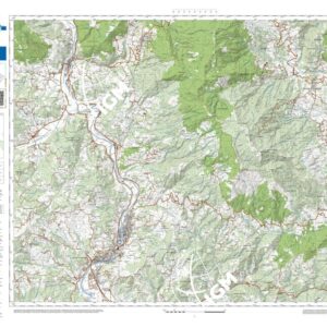 65 24 (Capolona-Subbiano) Anno: 2022