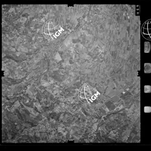 100-1982-D-698