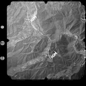 82-2003-233-7019