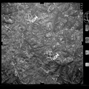 100-1982-D-703