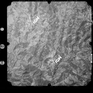 82-2003-233-7031