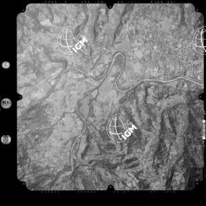 81-2003-233-7036