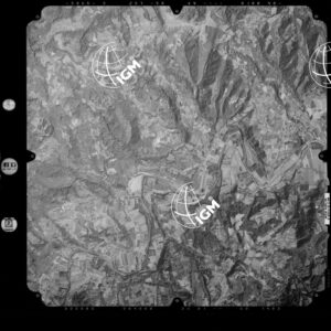 81-2003-233-7042