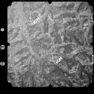 81-2003-233-7049
