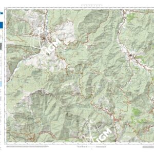 70 07 (Erli) Anno: 2022