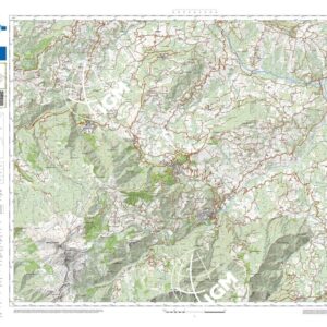 70 19 (Sestola) Anno: 2022