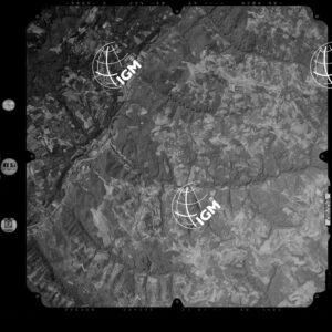 81-2003-239-7111