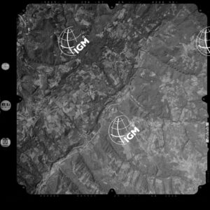 81-2003-239-7112