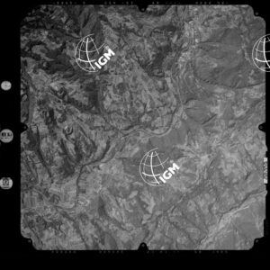 81-2003-239-7114