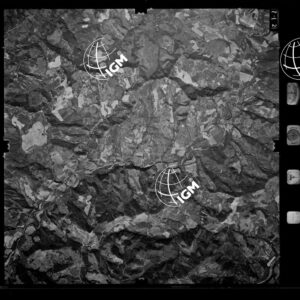 100-1982-D-712