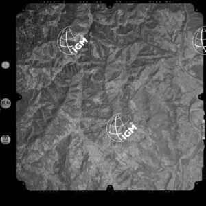 81-2003-239-7123