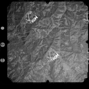 82-2003-239-7124