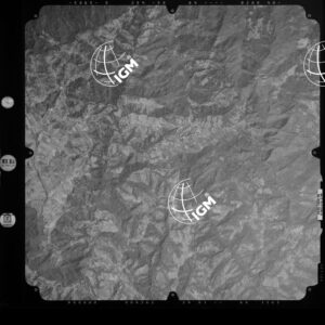 82-2003-239-7126