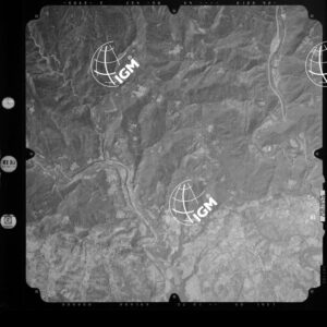 82-2003-239-7132