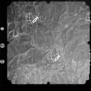 82-2003-239-7133