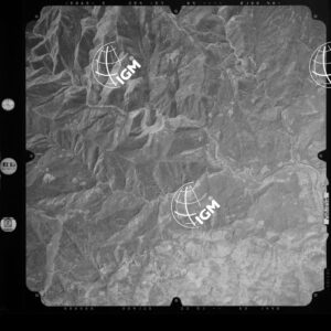 82-2003-239-7134