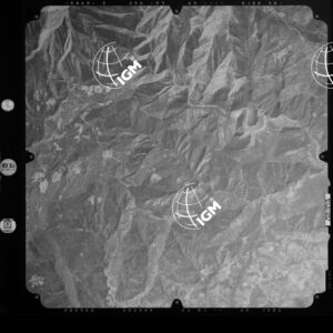 82-2003-239-7135