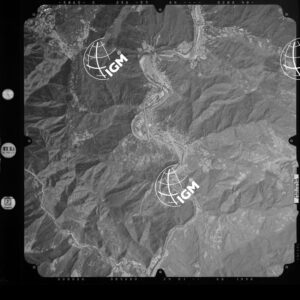 82-2003-239-7141