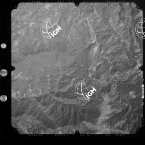 82-2003-245-7172