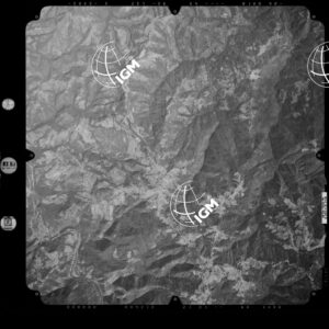 82-2003-245-7181