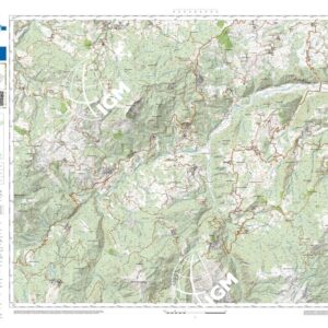 71 17 (Cervarezza) Anno: 2022