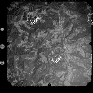 81-2003-254A-7261