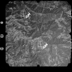 81-2003-254A-7263