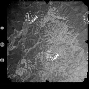 81-2003-254A-7269