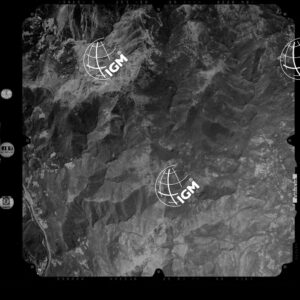 82-2003-254A-7279