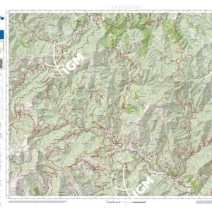 72 12 (Bargagli) Anno: 2022