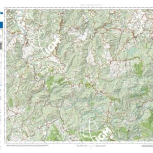 73 09 (Molare) Anno: 2022