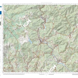 73 11 (Savignone) Anno: 2022