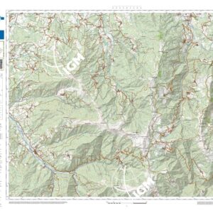 74 12 (Montacuto) Anno: 2022