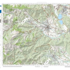 77 04 (Giaveno) Anno: 2022