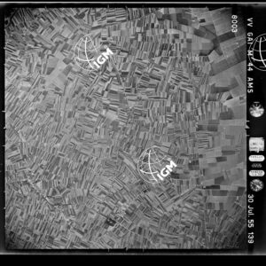 100-1955-34-8003