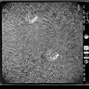 100-1955-34-8005