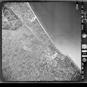 100-1955-36-8021