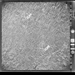 100-1955-36-8031