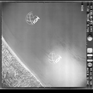 100-1955-37-8036