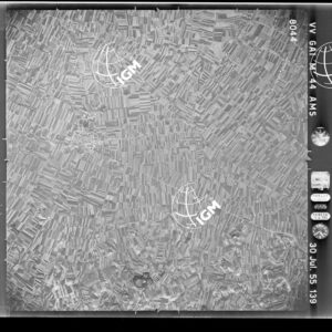 100-1955-37-8044