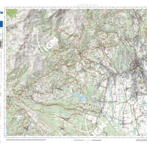 81 07 (Biella) Anno: 2022