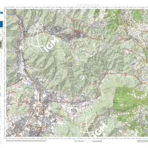 81 17 (Sarezzo) Anno: 2022